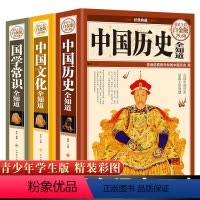 [正版]全3册中国历史全知道+文化全知道+国学常识全知道中国历史书籍书中国通史野史历史简史关于历史的书籍资治通鉴历