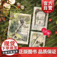柳林风声布面彩色插图版 E.H.谢泼德插图文学经典任溶溶译本家园绝美童话英国上海译文出版社长篇外国小说