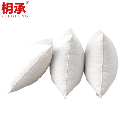 枂承 枕头48*74cm只