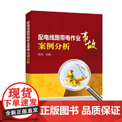 配电线路带电作业事故案例分析 中国电力出版社 正版书籍