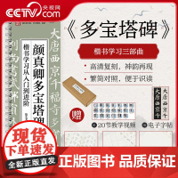 [央视网]颜真卿多宝塔碑楷书学习从入门到进阶 多宝塔碑 楷书学习三部曲RD高清复刻 神韵在线 繁简对照 便于识读
