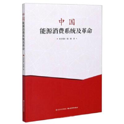 正版新书]中国能源消费系统及革命刘洪涛,柴建 著9787557706616