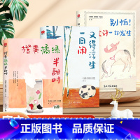 橙黄橘绿+又得浮生一日+别怕.允许一切发生[3册] [正版]全3册 橙黄橘绿半甜时 别怕请允许一切发生 又得浮生一日闲