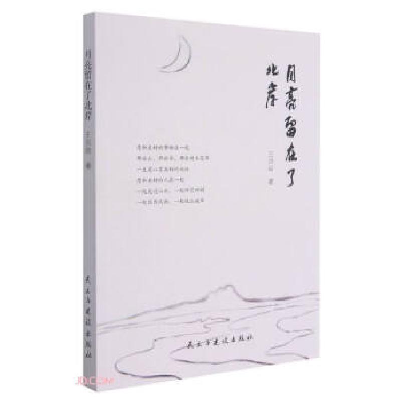 正版新书](塑封)月亮留在了北岸王洪岩 著9787513934985