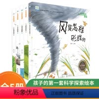 大自然的奥秘 百科全书 [正版]大自然的奥秘_全5册幼儿版认知科普绘本_儿童奇妙科学探索小百科_一年级科普绘本故事书早教