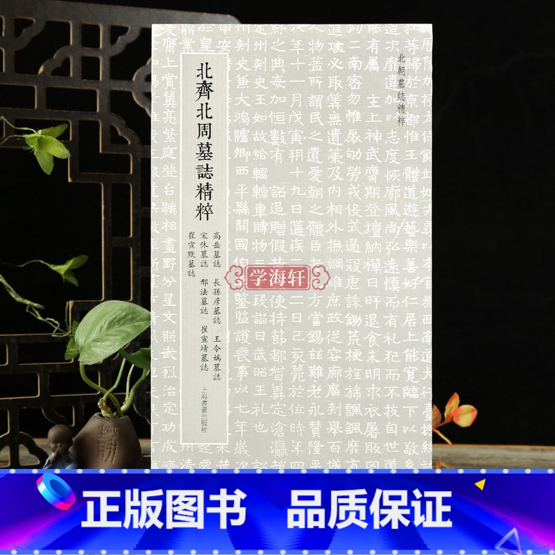 北齐北周墓志精粹 [正版]学海轩 北朝墓志 北齐北周墓志 高岳长孙彦墓志王令嬀墓志宋休墓志邢法墓志崔宣靖墓志崔宣默墓志
