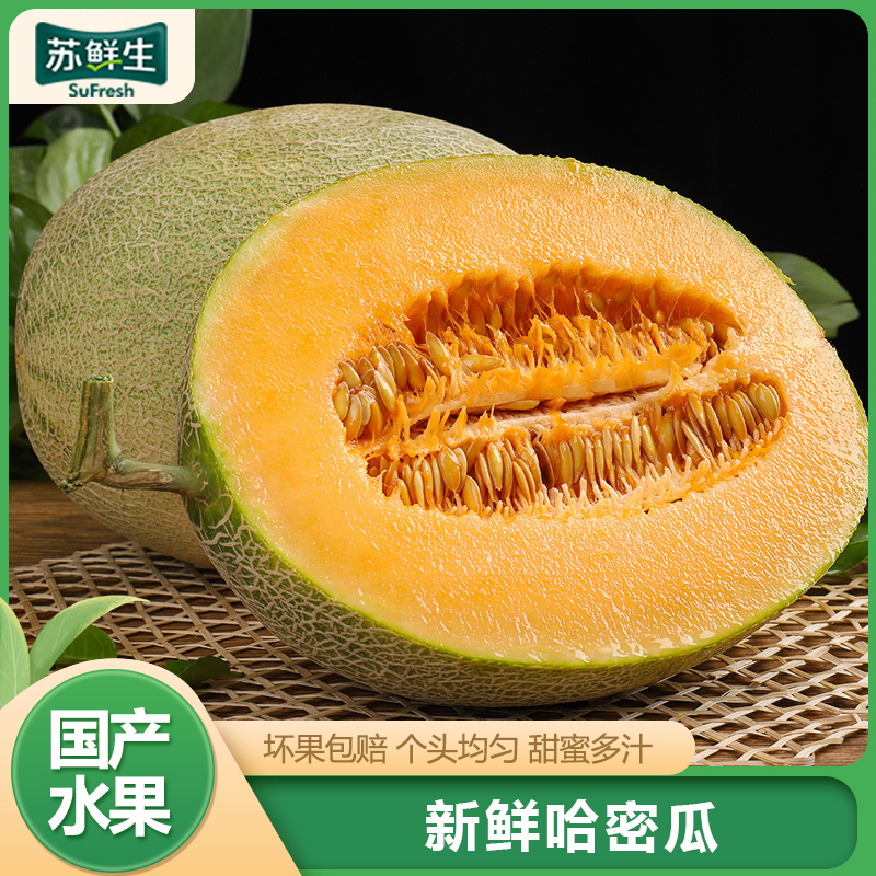 [苏鲜生]新鲜哈密瓜 净重8.5斤 1-3个 应季水果 新鲜甜瓜 鲜果