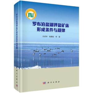 醉染图书罗布泊盐湖钾盐矿床形成条件与规律(精)9787030641878