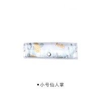 权夫人创意小清新眼镜收纳盒便携式塑料透明轻便近视眼镜盒女款学生