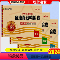 [语数英 3本]各地真题精编卷 小学升初中 [正版]2024新版王朝霞各地真题精编卷小升初真题卷必刷题六年级下册考前突破
