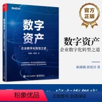 [正版] 数字资产:企业数字化转型之道 陈璐璐 企业生产经营管理资产分析整理 电子工业出版社