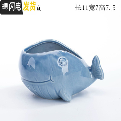 三维工匠少女心创意个性中大号口径拇指好看的多肉植物花盆器陶瓷 蓝色鲸鱼盆 中等花盆容器