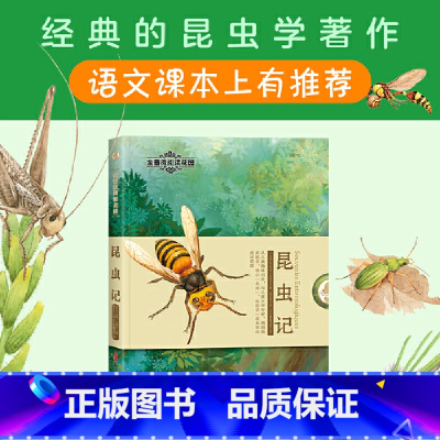 金蔷薇阅读花园·昆虫记 [正版]金蔷薇阅读花园 昆虫记 法布尔 名著读物原版八年级上册阅读课外书必读 讲述昆虫的体貌特征
