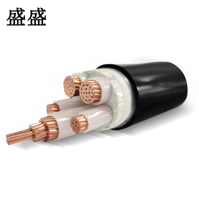 盛盛 铜芯 铠装电缆 ZR-YJV22 4*16+1*10 米