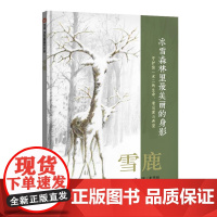雪鹿硬壳精装适合3-6岁绘本幼儿园小学阅读本亲子阅读早教启蒙图画书自然保护晚安故事书经典书籍人与自然相处信谊正版