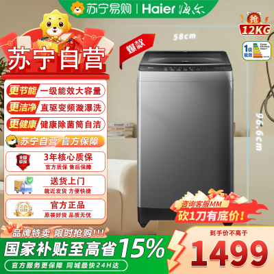 海尔(Haier)XQB120-BZ6088 12公斤一级能效 直驱变频健康除菌螨漩瀑洗+筒自洁家用大容量波轮洗衣机