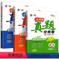 语文+数学+英语(3本) 小学升初中 [正版]2024小升初真题分类卷语文数学英语 重点中学招生小升初分类集训必刷题专项