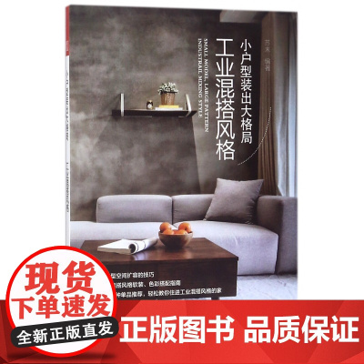 小户型装出大格局(工业混搭风格)