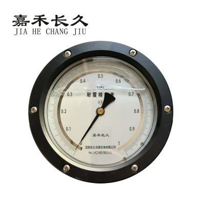 嘉禾长久 耐震精密压力表轴向带边检测定制型 YBN150ZT 0.4级 块