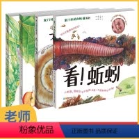 家门外的自然课系列全五册 [正版]看!蚂蚁 儿童3-6岁揭秘动物绘本趣味大百科知识全书籍 幼儿园老师经典必 小学生少儿早