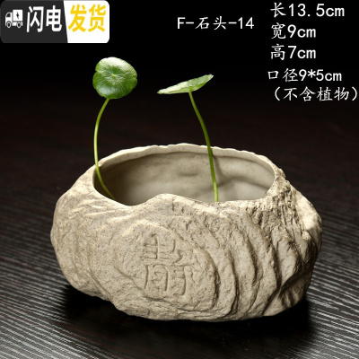 三维工匠水仙花盆铜钱水培花盆水养仿石头盆景碗莲睡莲个性创意陶瓷无孔 F-石头-14静 大花盆容器