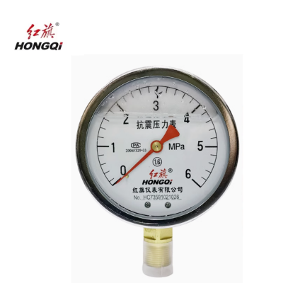 红旗 耐震压力表定制检测款 YTN100 0-6MPA 块