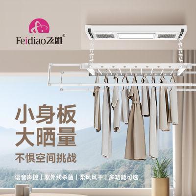 飞雕Feidiao电动晾衣架月光白双圆杆1.2米-2.1米碳钢材质智能升降晾晒神器