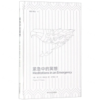 [N]紧急中的冥想(精)/副本译丛-9787541148866