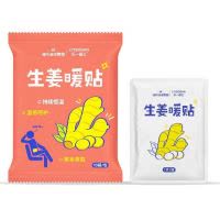 海氏海诺10贴装草本生姜暖贴一次性自发热防寒暖身贴冬季外出保暖贴暖宝宝