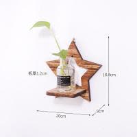 创意家居装饰品墙饰挂饰养殖花器房间壁挂水培花绿萝透明花瓶挂墙 三维工匠 月亮款+瓶子(送魔力贴)壁饰