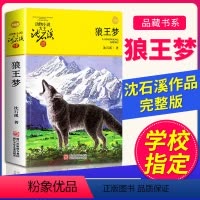 狼王梦 [正版]狼王梦沈石溪动物小说品藏书系9-10-11-12-13岁三四五六年级中小学生课外书浙江少年儿童非注音全套