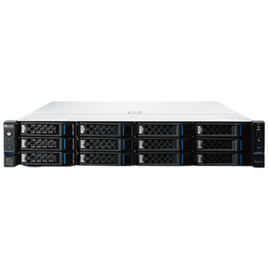 浪潮CS5280 H2/5380*2/128G内存/960G 固态*2/8T 机械*10/9361-8i 2G/双电