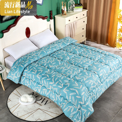四季新款通用舒适双人宿舍厚被子冬季加厚太空被保暖冬被芯棉被褥 三维工匠