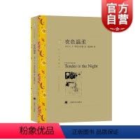 [正版]夜色温柔 译文名著精选 菲茨杰拉德著 汤新楣译 世界名著 外国文学小说书籍 外国名著经典读物 上海译文出版社