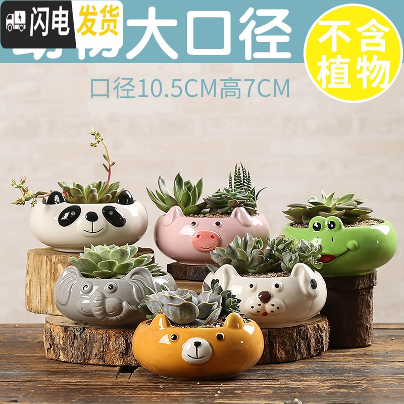 三维工匠多肉花盆陶瓷透气大口径家用创意粗陶肉肉植物小盆器 动物大口径随机(4个) 小花盆容器