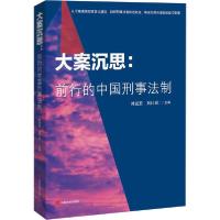 音像大案沉思:前行的中国刑事法制时延安,刘计划主编