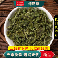 甄选伸筋草100克干货牛尾菜大伸筋牛尾节水球花牛尾蕨9260