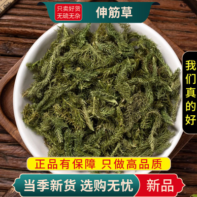 甄选伸筋草100克干货牛尾菜大伸筋牛尾节水球花牛尾蕨9260