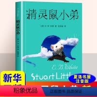 [正版]精灵鼠小弟 美 E B 怀特 译 任溶溶 上海译文出版社 外国文学小说 童话故事书 儿童课外读物 凤凰书店