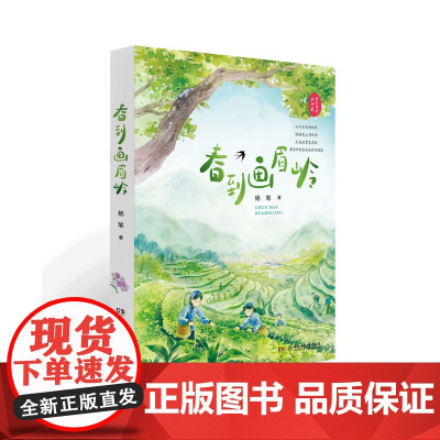 春到画眉岭 作者 杨笔 少儿文学 7-12岁 二三四年级课外阅读
