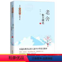 [正版]老舍散文集精选 包含猫+养花+北京的春节+济南的冬天 当代名家散文经典书系8-10-12-15周岁中小学生青少