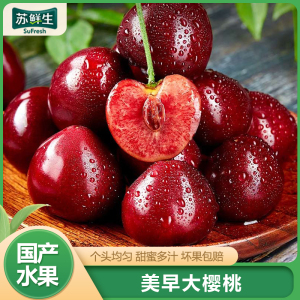 [苏鲜生]山东美早大樱桃 J级 净重2.8斤
