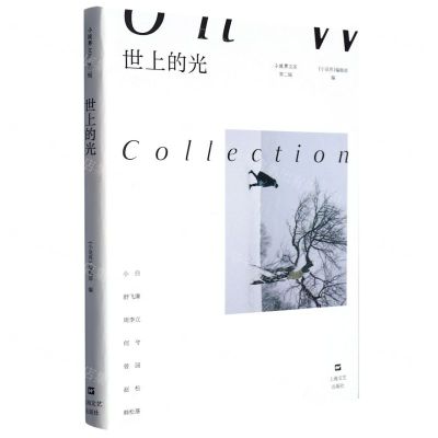 [N]世上的光/小说界文库-9787532185429