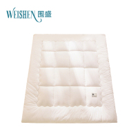 围盛 纯棉软垫 120*200*3cm-3斤白 张