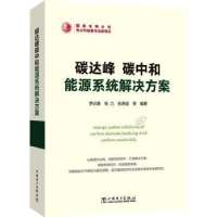 音像碳达峰碳中和能源系统解决方案罗必雄,张力,张炳成等编著