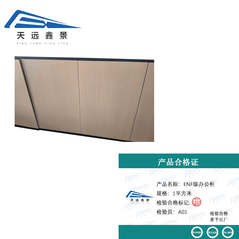 天远鑫景 ENF级办公柜 1平方米 平方米