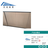 天远鑫景 ENF级办公柜 1平方米 平方米