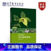 [正版]天目山常见植物图鉴 张光富