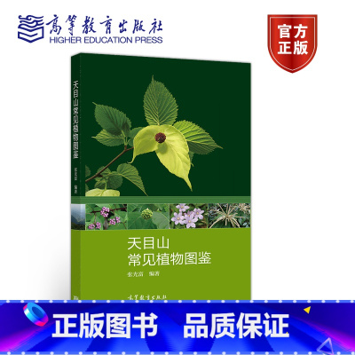 [正版]天目山常见植物图鉴 张光富