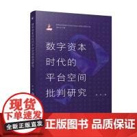 数字资本时代的平台空间批判研究